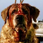 Cujo – Coming Soon From Eureka